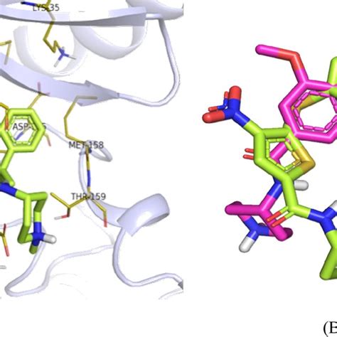 Small Molecule Igf 1r Inhibitors In Clinical Trials Download