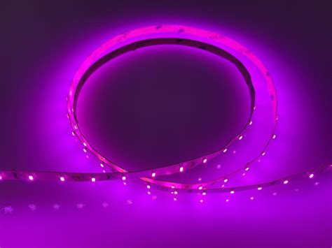 24V Pink LED Strip Light - IP65 Splashproof | LED Lighthouse