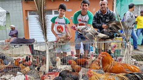 VANIO DA FEIRA DAS GALINHAS REGISTRANDO AS NOVIDADE DA FEIRA DA