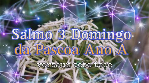 Salmo Domingo Da Pascoa Ano A Versaun Tebe Tebe Youtube