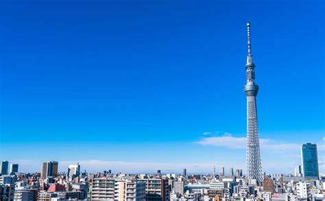 【2020年最新・完全版】大きいだけじゃない！スカイツリーはもっと楽しめる！水族館や展望台、最新情報を全網 Holiday ホリデー