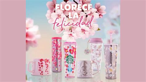 Starbucks Lanzar La Colecci N Cherry Blossom C Mo Es Y Cu Ndo Sale