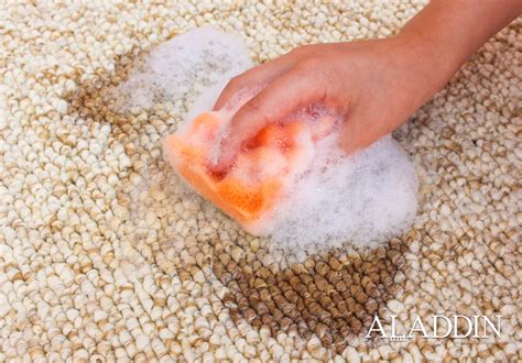 Remove Blood Stains From Your Carpet Resnooze