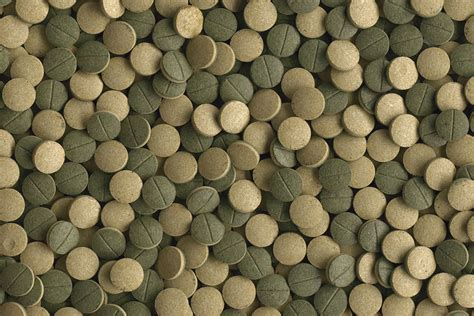 Tetra Pleco XL Tablets online kopen? → Dierencompleet.nl