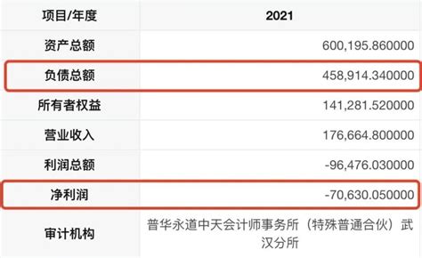 总负债超65亿元，月均亏损过亿，岚图能融到多少钱？易车