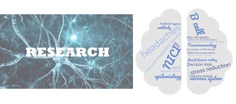 Neuroimmunology and MS Research