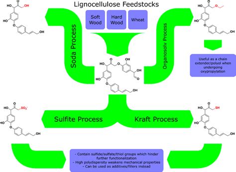 Overview of lignin processes and subsequent applications. | Download ...