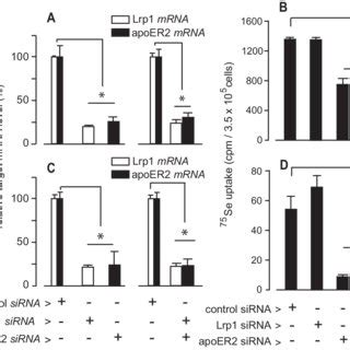 Effect Of Inhibiting Clathrin And Caveolin Endocytosis Pathways On The