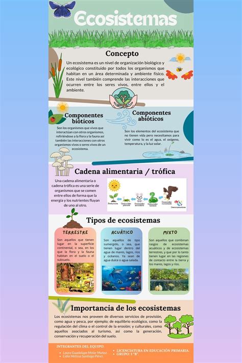 Guia De Ciencias Naturales Ecosistema Worksheet Artofit