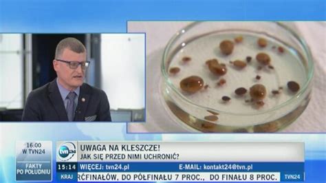 Jak rozpoznać boreliozę TVN Meteo