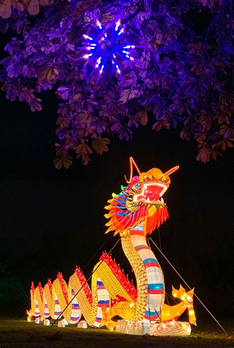 Wild Lanterns At Woodland Park Zoo Is A Glowing Triumph Westside Seattle