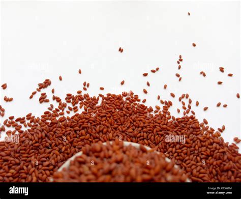 Garden Cress Seeds Stock Photo - Alamy