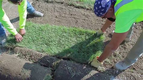 Proper Sod Installation Procedures Youtube