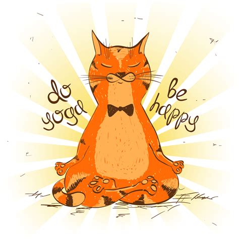 Cat Yoga is the Genius Hot Trend Saving Feline Lives - Cats and Meows