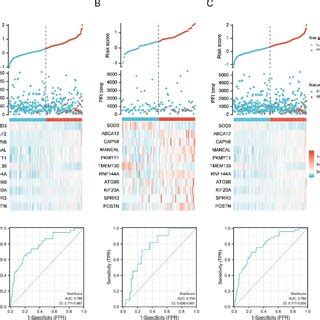 Evaluation Of The Efficacy Of The 11 Gene Signature In The TCGA THCA