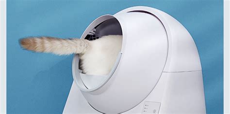 Представлен «умный» кошачий туалет от Xiaomi