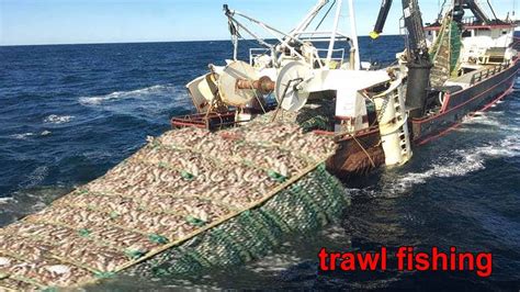 Amazing Commercial Fishing By Trawl Net Fishing Hundreds Of Tons Of