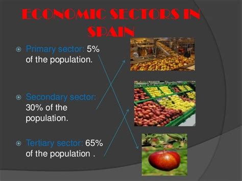 Population and economic sectors in spain by Nerea and Julia