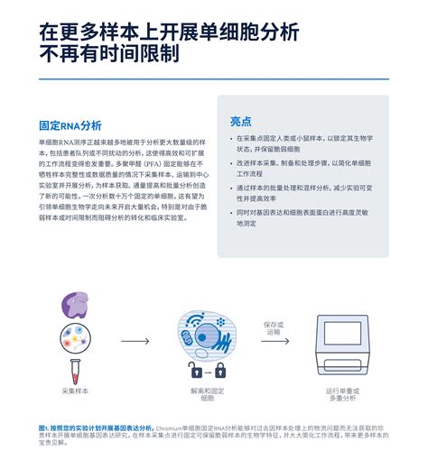 10x Genomics 华大智造 Idt Swift Tecan Nugen 瑞沃德