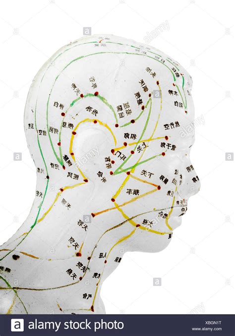 Meridians And Meridians High Resolution Stock Photography And Images