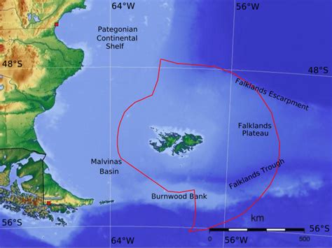 Islas Malvinas historia ubicación clima turismo flora fauna y más