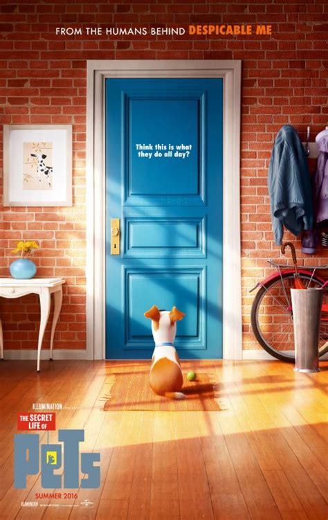 The Secret Life of Pets Movie Poster (#1 of 19) - IMP Awards