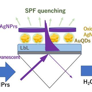 A Schematic Diagram Of Surface Plasmon Field Enhanced Fluorescence