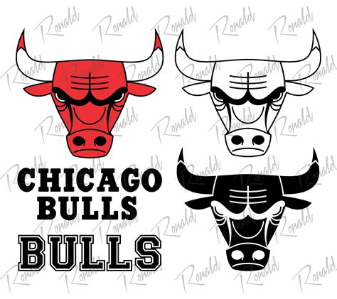 Chicago Bulls Svg Instant Download Svg Dxf Ai Etsy