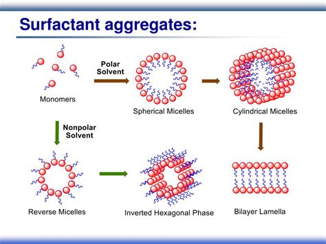 Ppt Surfactants As Catalysts For Organic Reactions In Water Powerpoint Presentation Id 239191