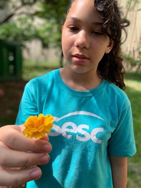 A natureza é das infâncias Portal da Educação Sesc RJ