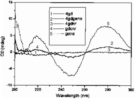 Circular Dichroism Spectra Of Dendrimer Naked DNA And Dendrimer DNA