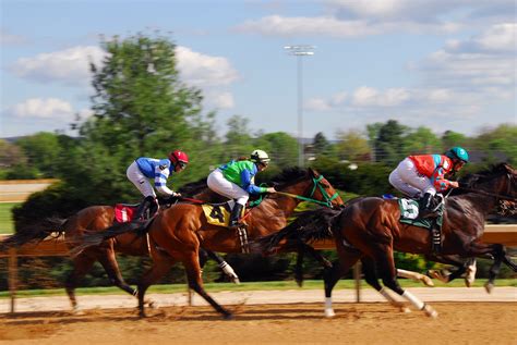 プロキオンステークスの全頭最終追い切り評価と過去データ【2024年7月7日開催】 競馬のウマ話