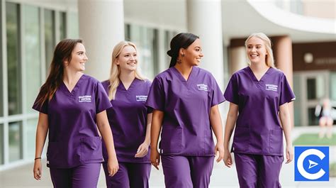 Student Nurse Jobs Which Are The Best In 2025