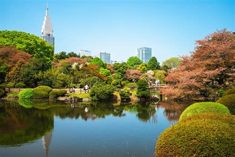 shinjuku gyoen national garden fasci garden