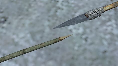 Tips | Spear Vs Sharpened Stick | DayZ Tips