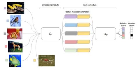 A Step By Step Guide To Few Shot Learning