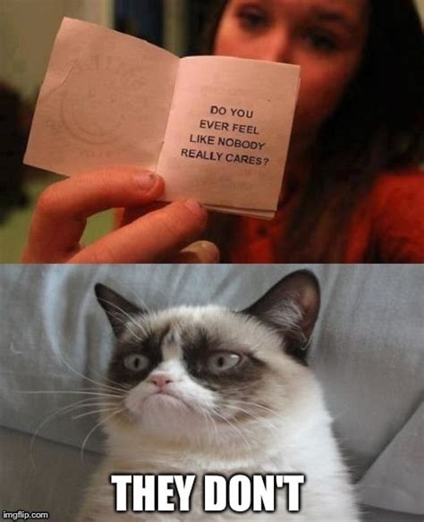 School Thoughts: Told By Grumpy Cat Memes | Her Campus