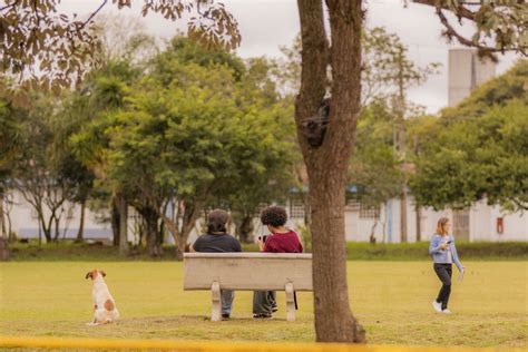 Uepg Participa Do Dia Mundial Da Criatividade E Inova O Em Ponta