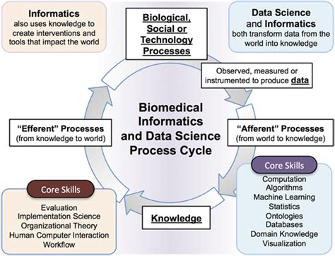 Biomedical Informatics Data Science Division Of Biology