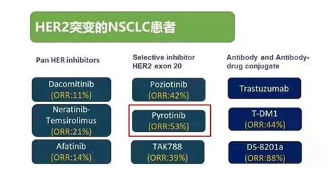 肺癌egfr 20插入突变及her2突变靶向治疗真实世界研究分享egfr肺癌靶向药物插入突变 健康界