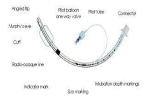 Intubation ppt | PPT