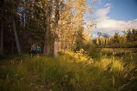 The Ultimate Guide To The Best Banff Hikes Nomadasaurus