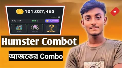 Hamster Kombat Daily Combo Hamster Kombat Daily Combo Card