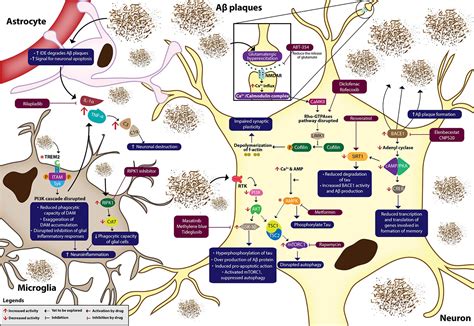 Frontiers | Pharmacotherapy of Alzheimer’s Disease: Seeking Clarity in ... 
