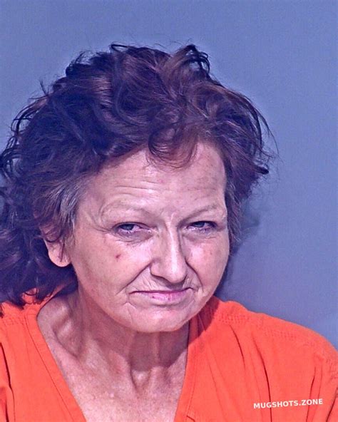 Snider Rhonda Diane Baldwin County Mugshots Zone