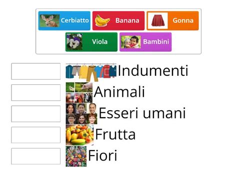 Collega Ogni Elemento Alla Categoria Alla Quale Appartiene Match Up