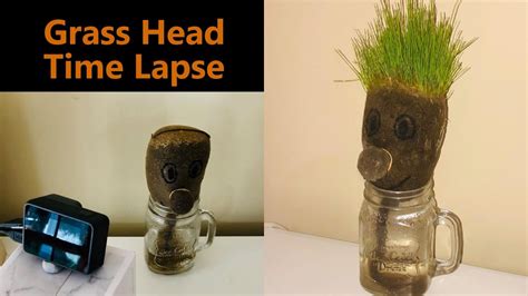 Grass Head Time Lapse Youtube