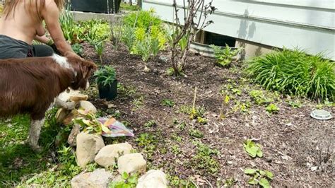 The Naked Gardener The Naked Gardener Thenakedgardener Official Nude OnlyFans The