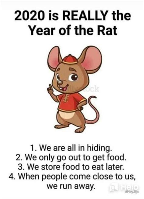 Year Of The Rat For Sure Meme Guy