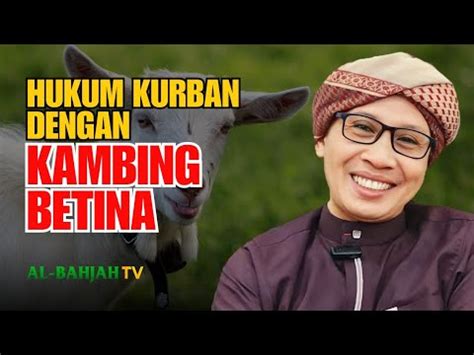 Hukum Kurban Dengan Kambing Betina Buya Yahya Youtube